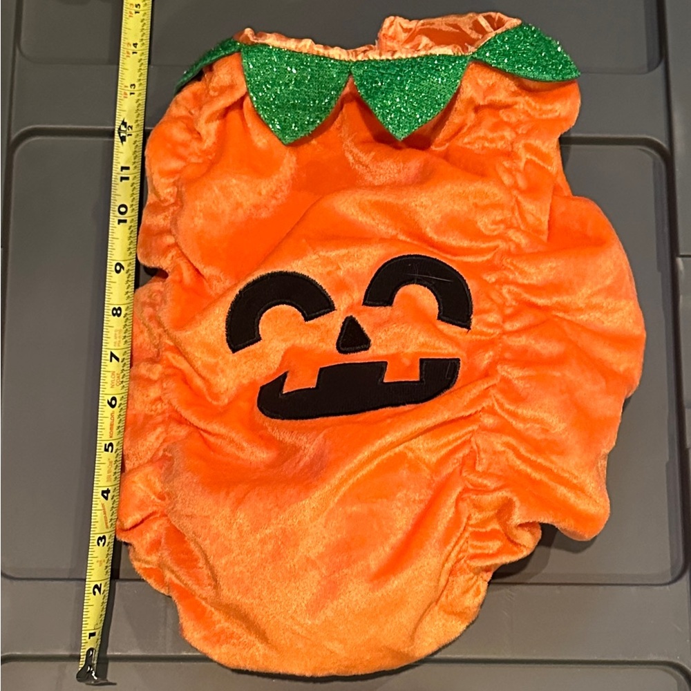Dog Pumpkin Costume - Size S